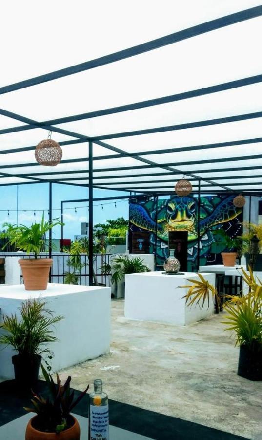 La Izsla Playa Del Carmen Hotel Ngoại thất bức ảnh